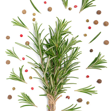 Setalea Rosemary revitalizes hair growth and strengthens follicles for radiant